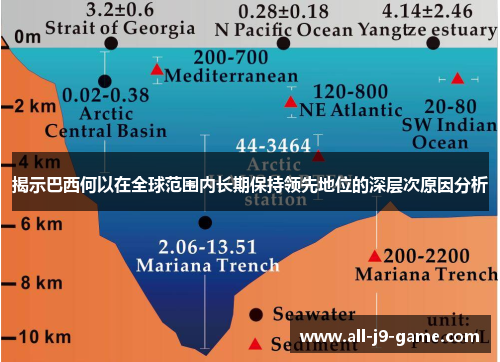 揭示巴西何以在全球范围内长期保持领先地位的深层次原因分析