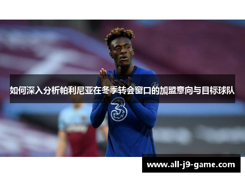 如何深入分析帕利尼亚在冬季转会窗口的加盟意向与目标球队