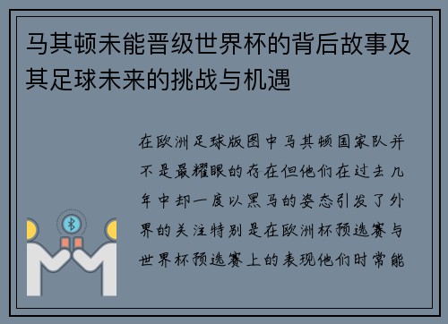 马其顿未能晋级世界杯的背后故事及其足球未来的挑战与机遇