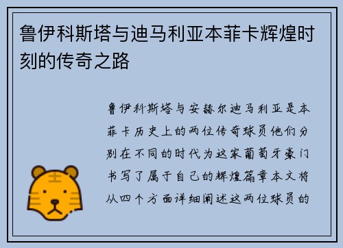 鲁伊科斯塔与迪马利亚本菲卡辉煌时刻的传奇之路